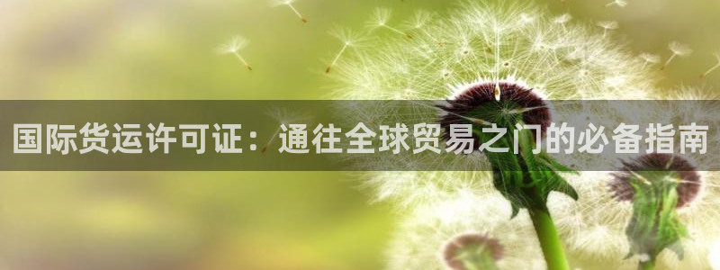 尊龙凯时几百万怎么下款：国际货运许可证：通往全球贸易之门