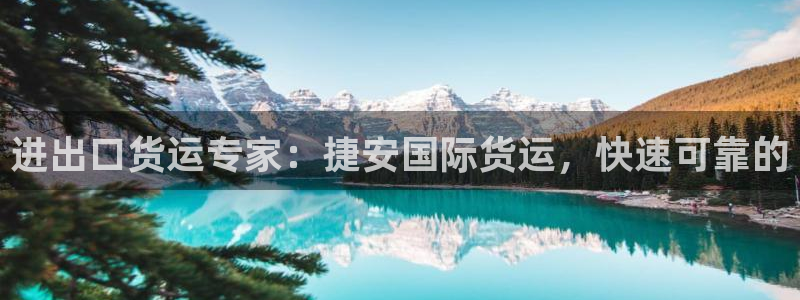 尊龙凯时平台官网：进出口货运专家：捷安国际货运，快速可靠