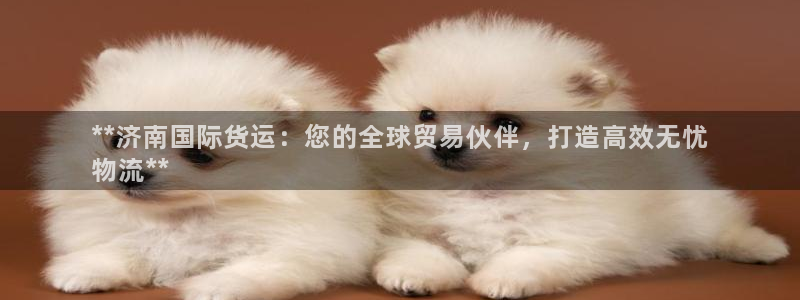 尊龙ktv怎么样：**济南国际货运：您的全球贸易伙伴，打