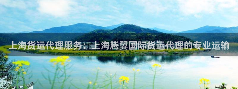尊龙网站登录：上海货运代理服务：上海腾翼国际货运代理的专