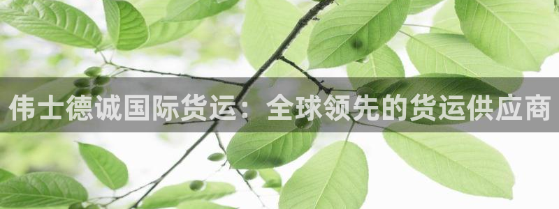 尊龙网址是选访问zd207：伟士德诚国际货运：全球领先的