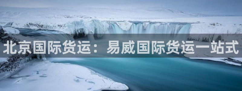 尊龙AG旗舰厅官网：北京国际货运：易威国际货运一站式