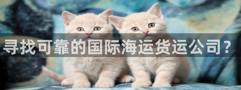 尊龙ag旗舰厅官网登录：寻找可靠的国际海运货运公司？
