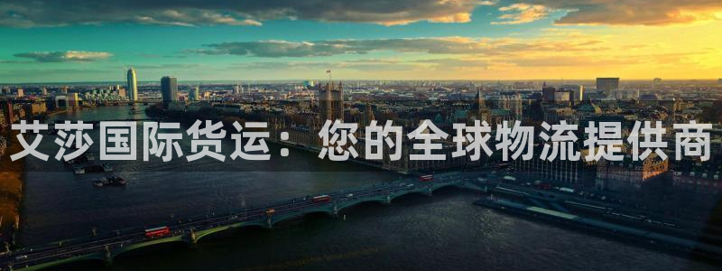 尊龙凯时存款多久到账：艾莎国际货运：您的全球物流提供商