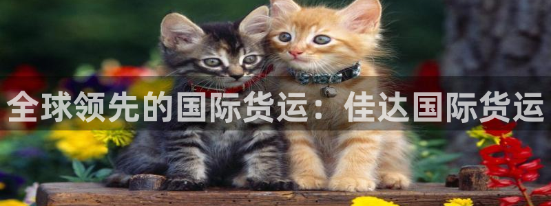 尊龙人生就是博送38：全球领先的国际货运：佳达国际货运
