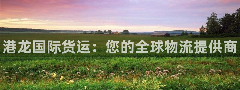 尊龙人生就是博旧版手机可靠送38元：港龙国际货运：您的全