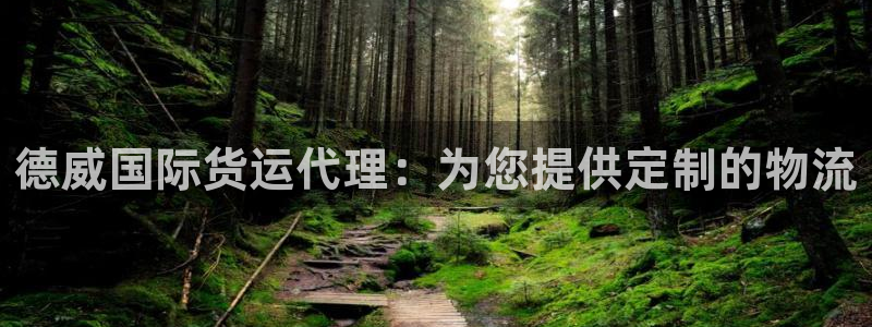 尊龙凯时 - 人生就是搏有假吗：德威国际货运代理：为您提