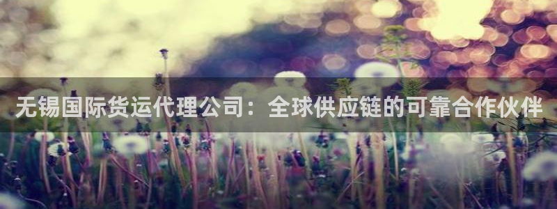 尊龙凯时 人生就是搏 平台：无锡国际货运代理公司：全球供