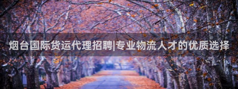 尊龙凯时-人生就是博中国官网首页：烟台国际货运代理招聘|