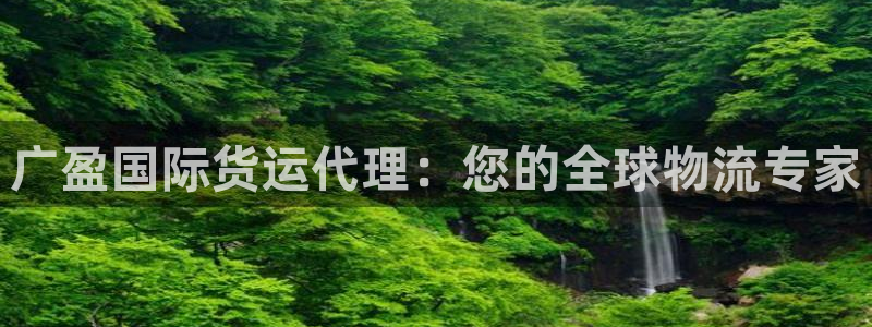 z6尊龙凯时旗舰厅首页：广盈国际货运代理：您的全球物流专
