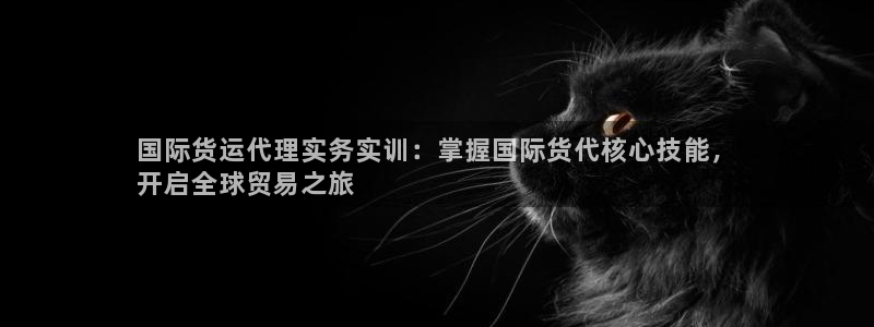 尊龙凯时下载人生就是博：国际货运代理实务实训：掌握国际货