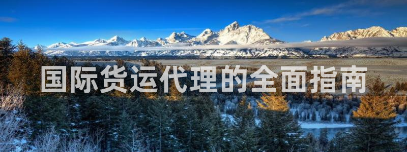 尊龙凯时网站赌愽是真的吗：国际货运代理的全面指南
