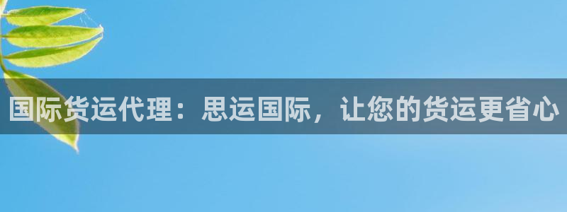 尊龙凯时 人生就是搏：国际货运代理：思运国际，让您的货运