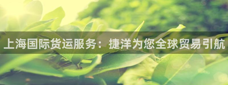尊龙人生就是博下载：上海国际货运服务：捷洋为您全球贸易引