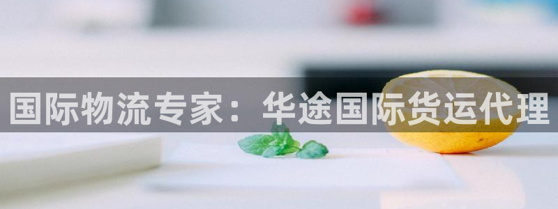 尊龙棋牌软件有挂吗：国际物流专家：华途国际货运代理