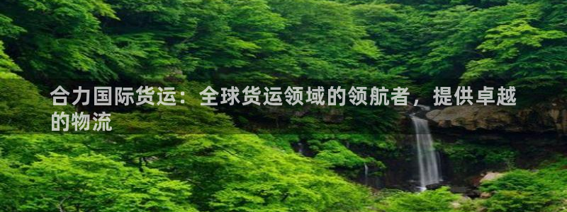尊龙凯时是赌博嘛：合力国际货运：全球货运领域的领航者，提
