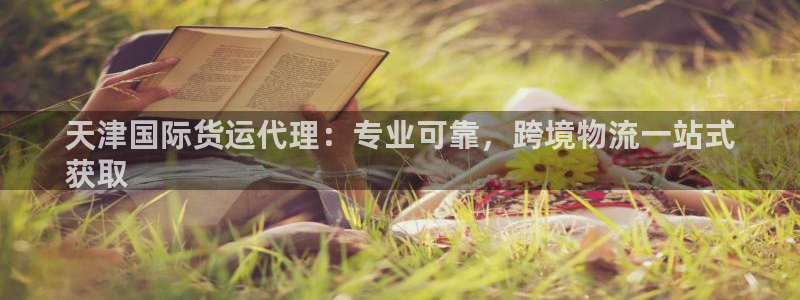 尊龙人生就是博首页入口：天津国际货运代理：专业可靠，跨境
