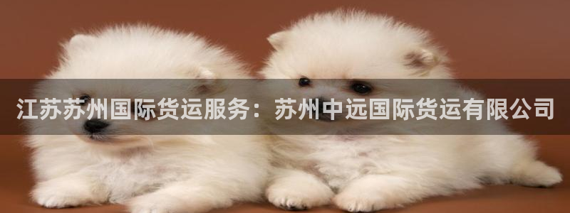 尊龙z6：江苏苏州国际货运服务：苏州中远国际货运有限公司