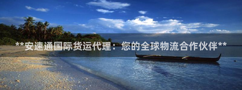 尊龙 ag：**安速通国际货运代理：您的全球物流合作伙伴
