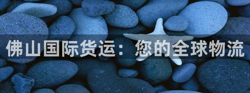 尊龙 下载：佛山国际货运：您的全球物流
