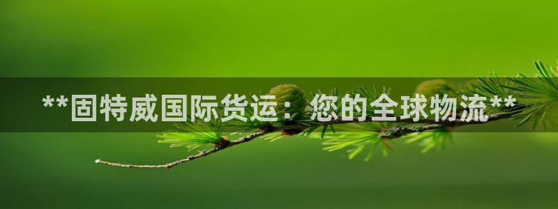尊龙z6官网：**固特威国际货运：您的全球物流**