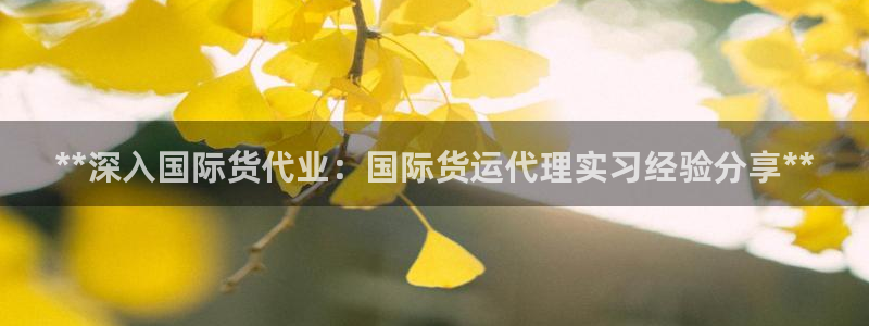 尊龙光学怎么样：**深入国际货代业：国际货运代理实习经验