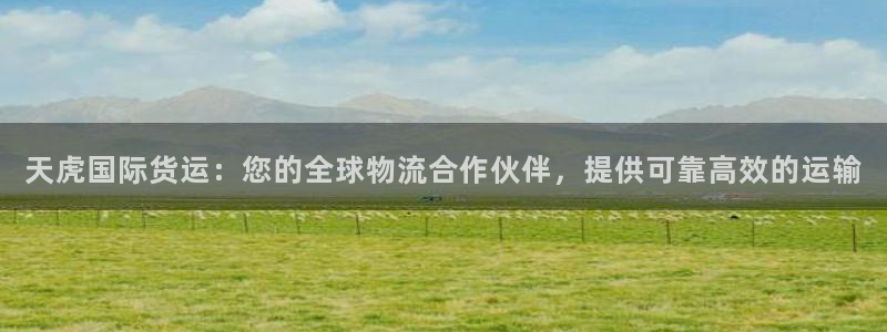 尊龙凯时用户名m：天虎国际货运：您的全球物流合作伙伴，提