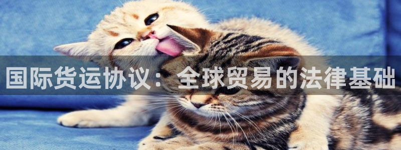 尊龙凯时官方网页：国际货运协议：全球贸易的法律基础
