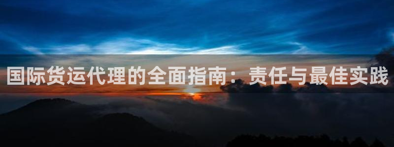 尊龙凯时：国际货运代理的全面指南：责任与最佳实践