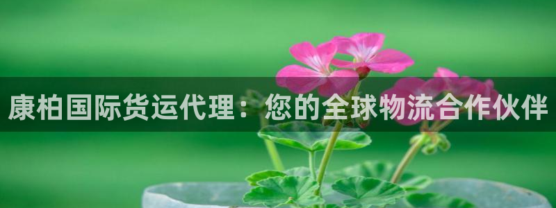 尊龙凯时官网网址：康柏国际货运代理：您的全球物流合作伙伴
