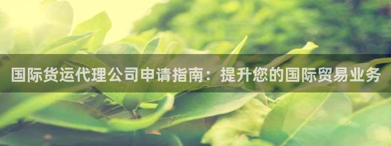 尊龙d88手机登录免费下载：国际货运代理公司申请指南：提