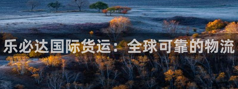 尊龙电子：乐必达国际货运：全球可靠的物流
