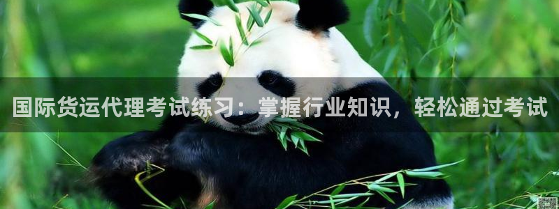 尊龙ag旗舰：国际货运代理考试练习：掌握行业知识，轻松通