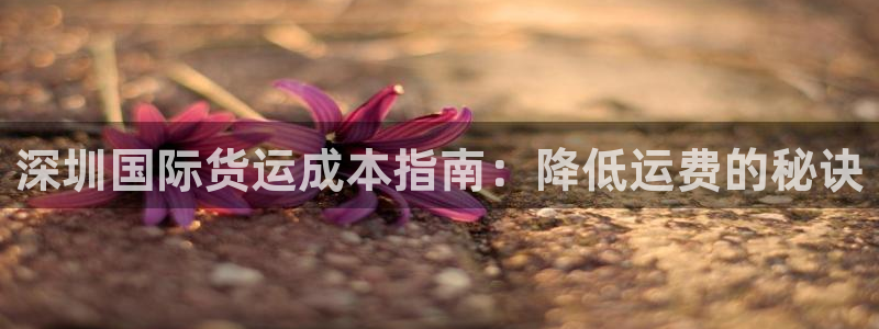 尊龙人生就是博中国区：深圳国际货运成本指南：降低运费的秘
