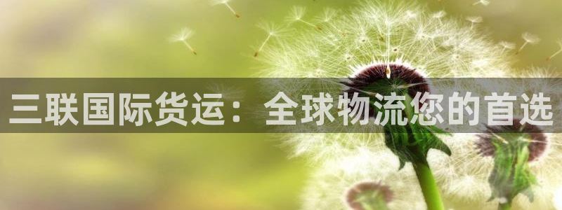 尊龙凯时ag旗舰厅官方网站：三联国际货运：全球物流您的首