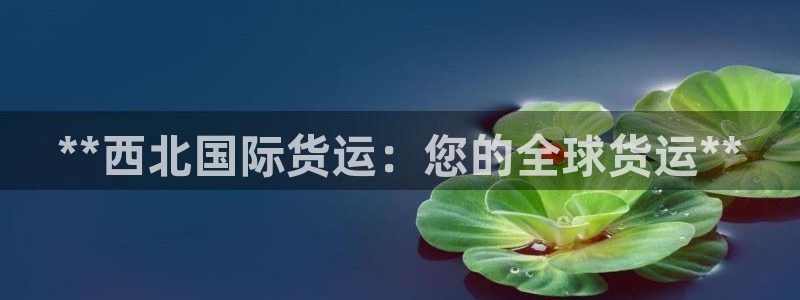 尊龙凯时集团：**西北国际货运：您的全球货运**