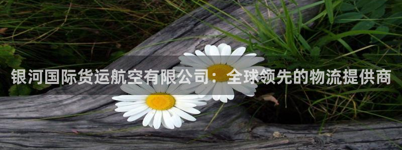 尊龙凯时是哪个国家的：银河国际货运航空有限公司：全球领先