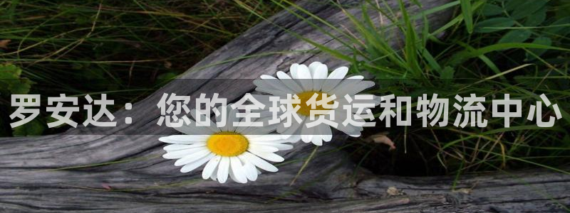 尊龙ag：罗安达：您的全球货运和物流中心