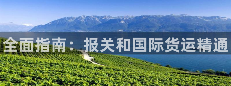 尊龙凯时凯发官网：全面指南：报关和国际货运精通