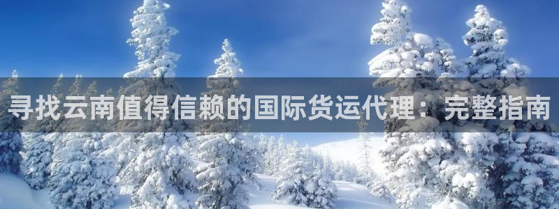 尊龙凯时提现不了：寻找云南值得信赖的国际货运代理：完整指