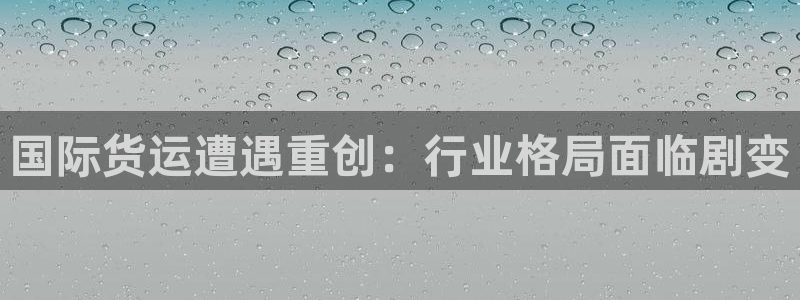 尊龙人生就是博客服：国际货运遭遇重创：行业格局面临剧变