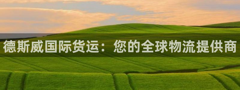 尊龙凯时美金能提取吗：德斯威国际货运：您的全球物流提供商
