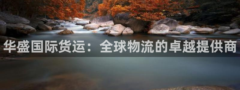 尊龙凯时链接：华盛国际货运：全球物流的卓越提供商