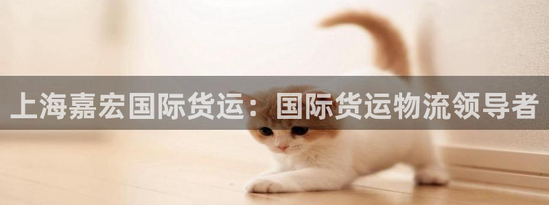 尊龙网页：上海嘉宏国际货运：国际货运物流领导者