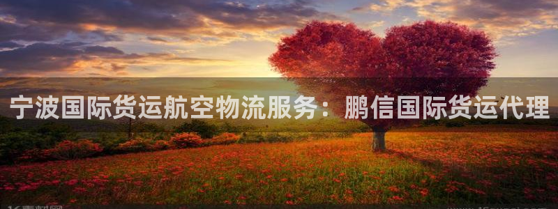 尊龙d88手机版下载：宁波国际货运航空物流服务：鹏信国际