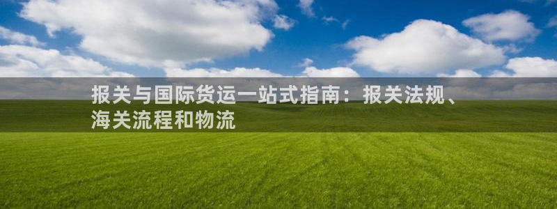 尊龙凯时网站网址：报关与国际货运一站式指南：报关法规、
