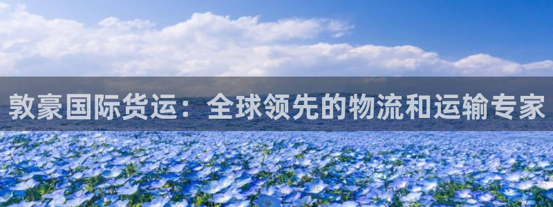 尊龙ag旗舰厅官网登录：敦豪国际货运：全球领先的物流和运