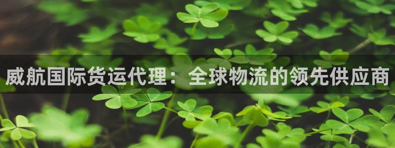 尊龙官网地址：威航国际货运代理：全球物流的领先供应商