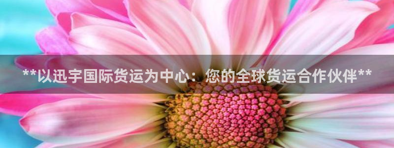 尊龙棋牌软件有挂吗：**以迅宇国际货运为中心：您的全球货