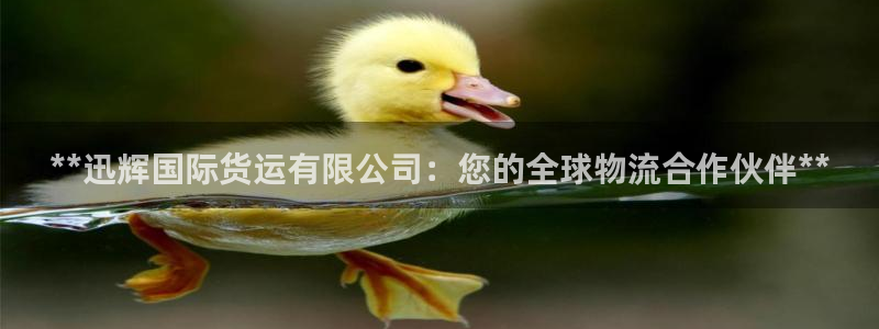 尊龙凯时人生就是搏首页：**迅辉国际货运有限公司：您的全